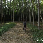 En otoño el camino se llena de hojas de los chopos