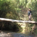 El rio baja con bastante caudal