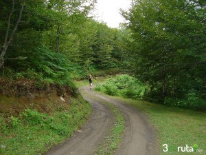 El Bosque de Peloño