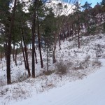 Carretera nevada hacia la pista de los Pinares del Ródeno