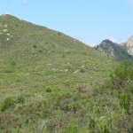 Vista de l'Ouet i Serra del Cavall