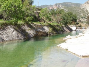 “Charco El Gruñidor”. Sot de Chera (Valencia)