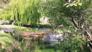 El Azud-Pozo de las Escaleras – Tuejar - (Valencia)