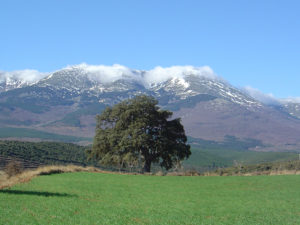 El Moncayo - Soria