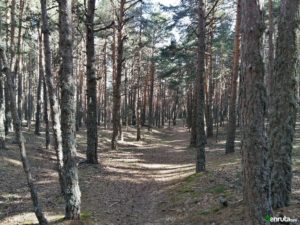 Senda desde el camping de las Corralizas a Bronchales