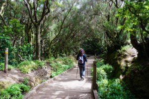 Inicio del sendero de los sentidos habilitado para sillas de ruedas