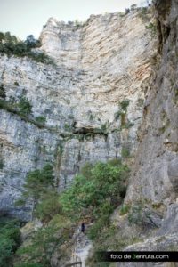 Camino al segundo mirador del nacimiento del Rio Mundo