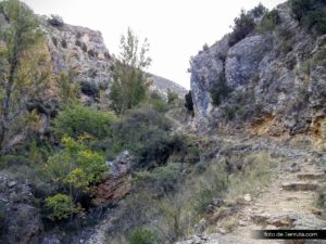 Seguimos por el GR-8. Muy duro de pedalear