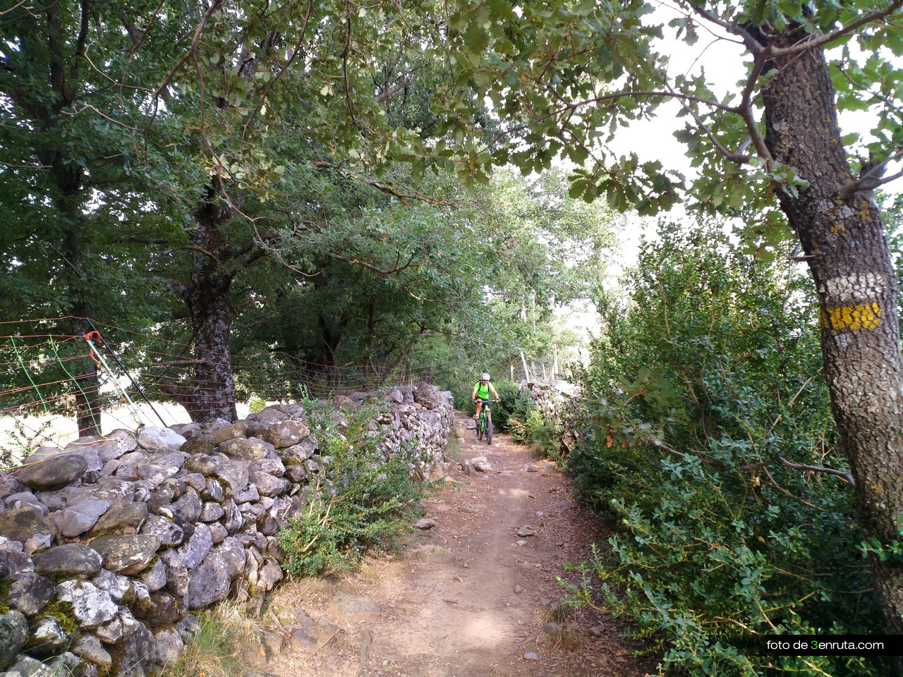 La vía pecuaria nos lleva entre muros de piedra hasta Los Molinos