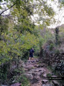 Camino pedregoso junto al rio por el Barranco del Agua Negra