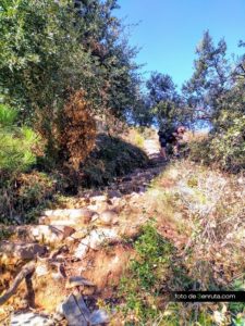 Escaleras que nos sacan del barranco a la pista de tierra