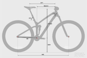 Geometría de la bici