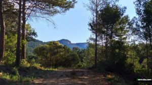 Vista de las Peñas de dios desde la pista