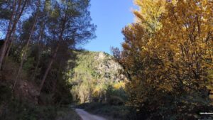Pista hacia el Barranco de Bercolón