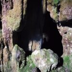 Cueva del murciélago de Altura