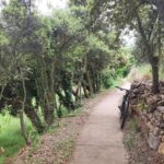 Camino desde la Fuente de San Roque a Villanueva de Vivier