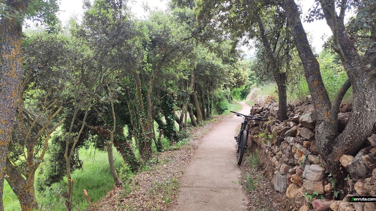 Camino desde la Fuente de San Roque a Villanueva de Vivier