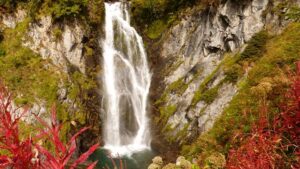 Saut Deth Pish