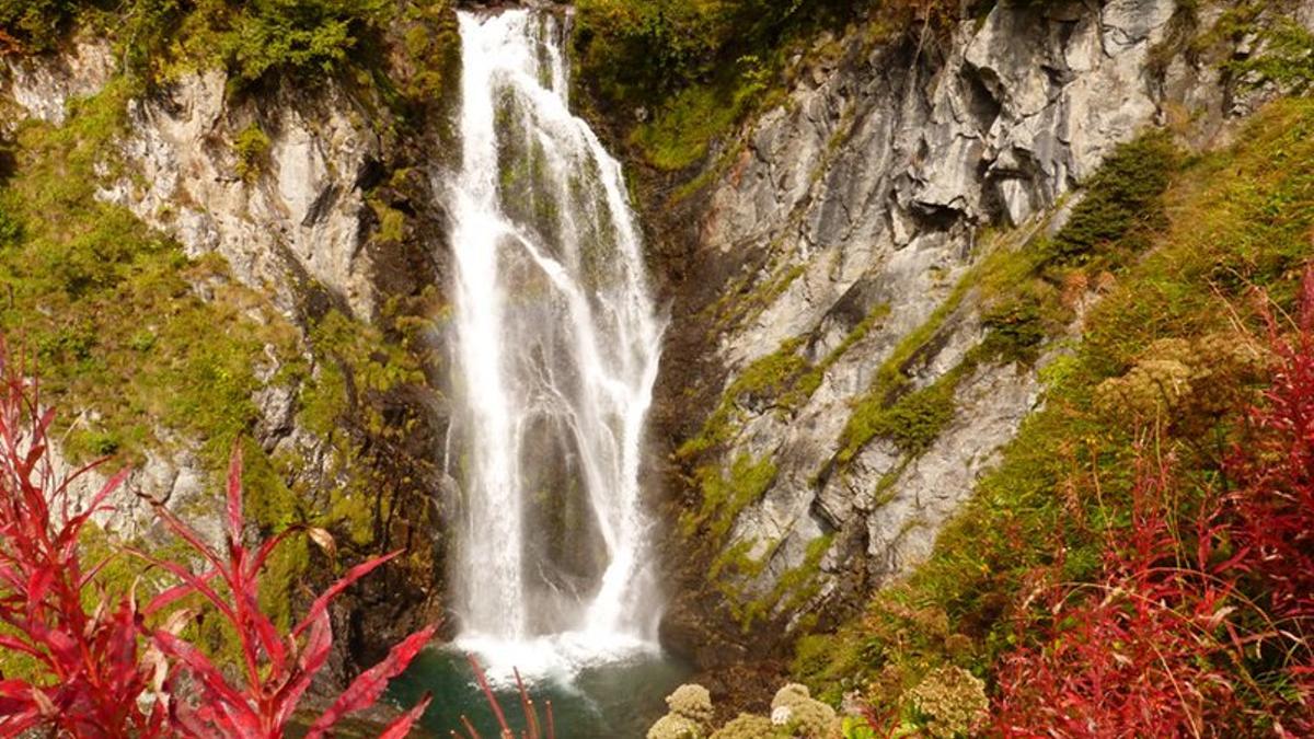 Saut Deth Pish