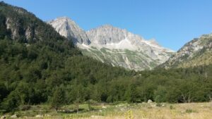 Tuc de Molières